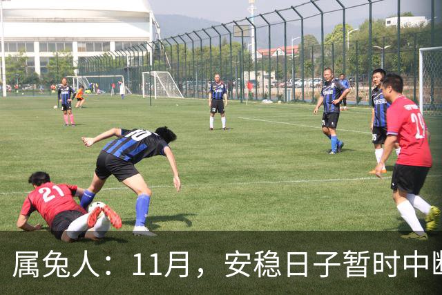 属兔人：11月，安稳日子暂时中断，大戏要开场