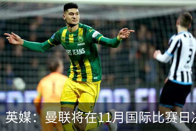 英媒：曼联将在11月国际比赛日决定卡里克去留